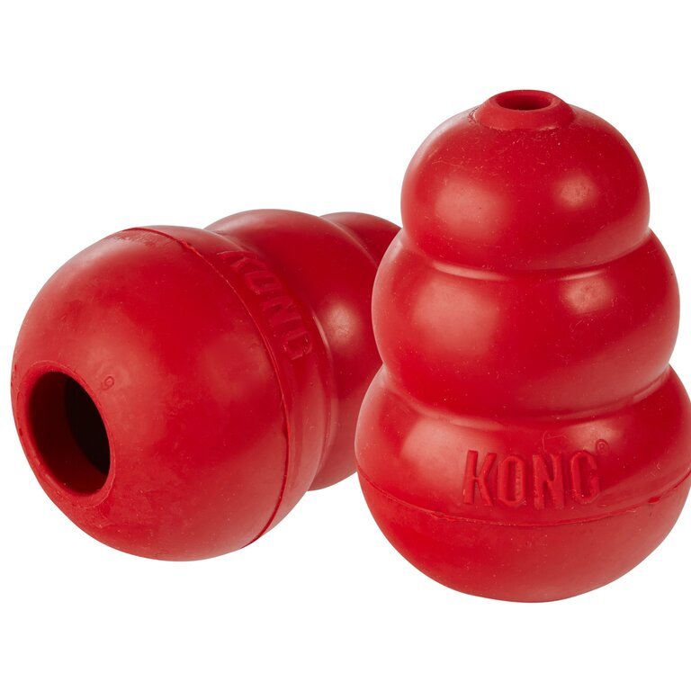 Kong Toy Red, Medium