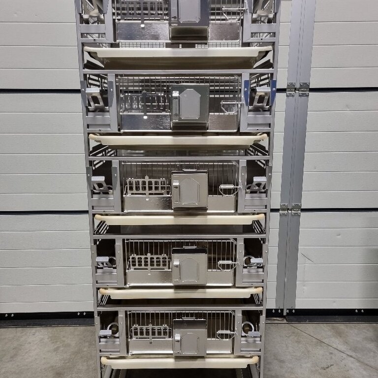 Rack with Guinea Pig cages