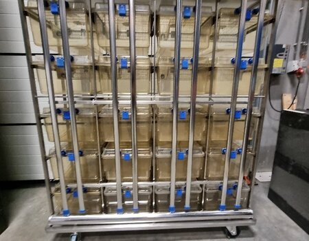 Tecniplast Blueline IVC Rack Type U1500