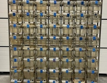 Complete Tecniplast Blueline rack Type 1284 56 cages single sided