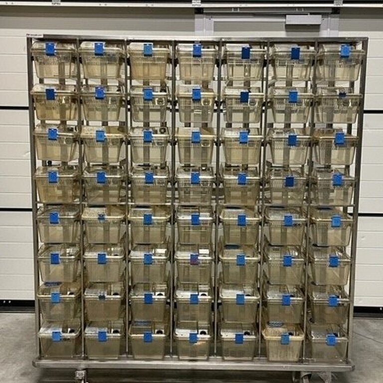 Complete Tecniplast Blueline rack Type 1284 56 cages single sided